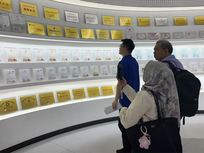 Cliente Indonesio de la Industria de Galvanoplastia Visita la Fábrica